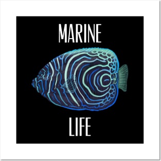 Marine life Posters and Art